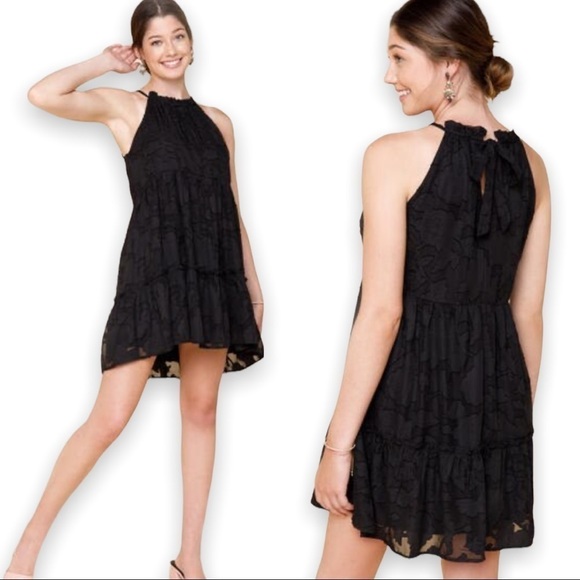 NWT Francesca Trixxi Black Bridgette Floral A-Line Mini Dress sz M - Picture 12 of 13